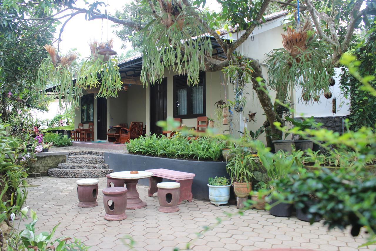 Banyu Homestay Banyuwangi  Luaran gambar
