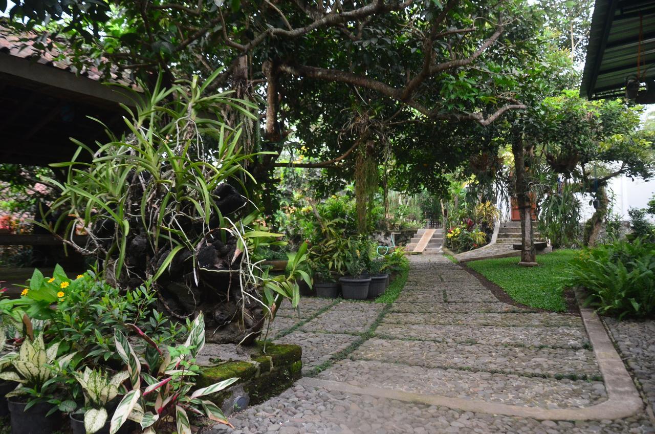 Banyu Homestay Banyuwangi  Luaran gambar