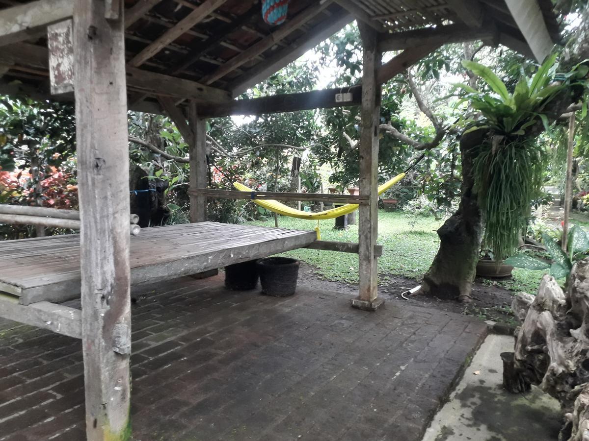 Banyu Homestay Banyuwangi  Luaran gambar