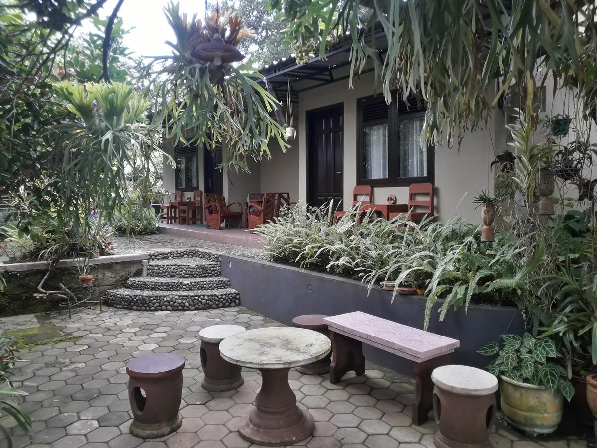 Banyu Homestay Banyuwangi  Luaran gambar