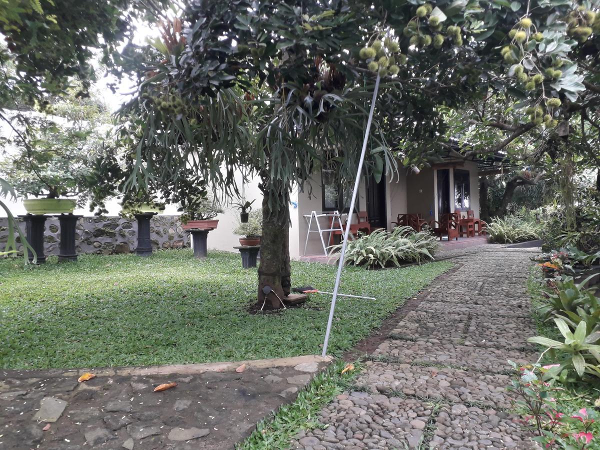 Banyu Homestay Banyuwangi  Luaran gambar