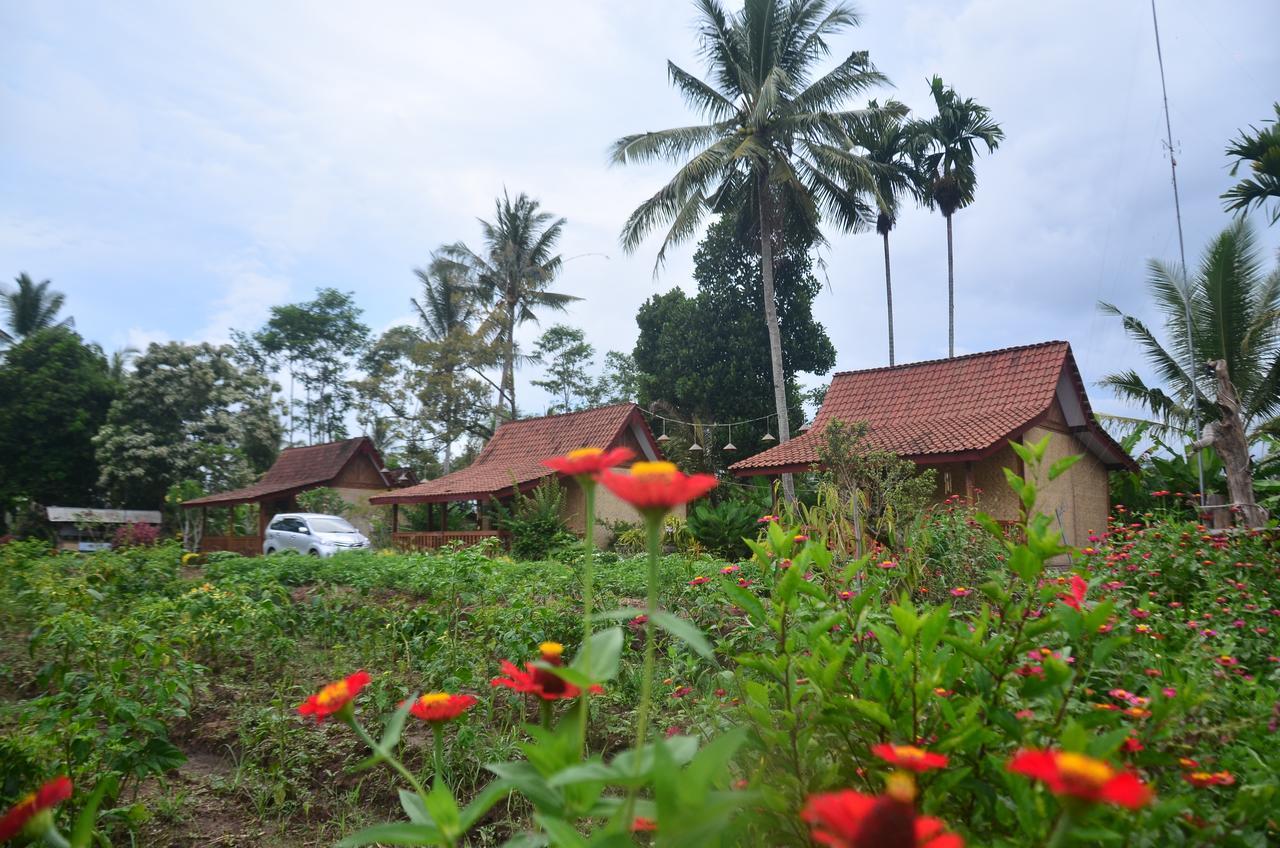 Banyu Homestay Banyuwangi  Luaran gambar