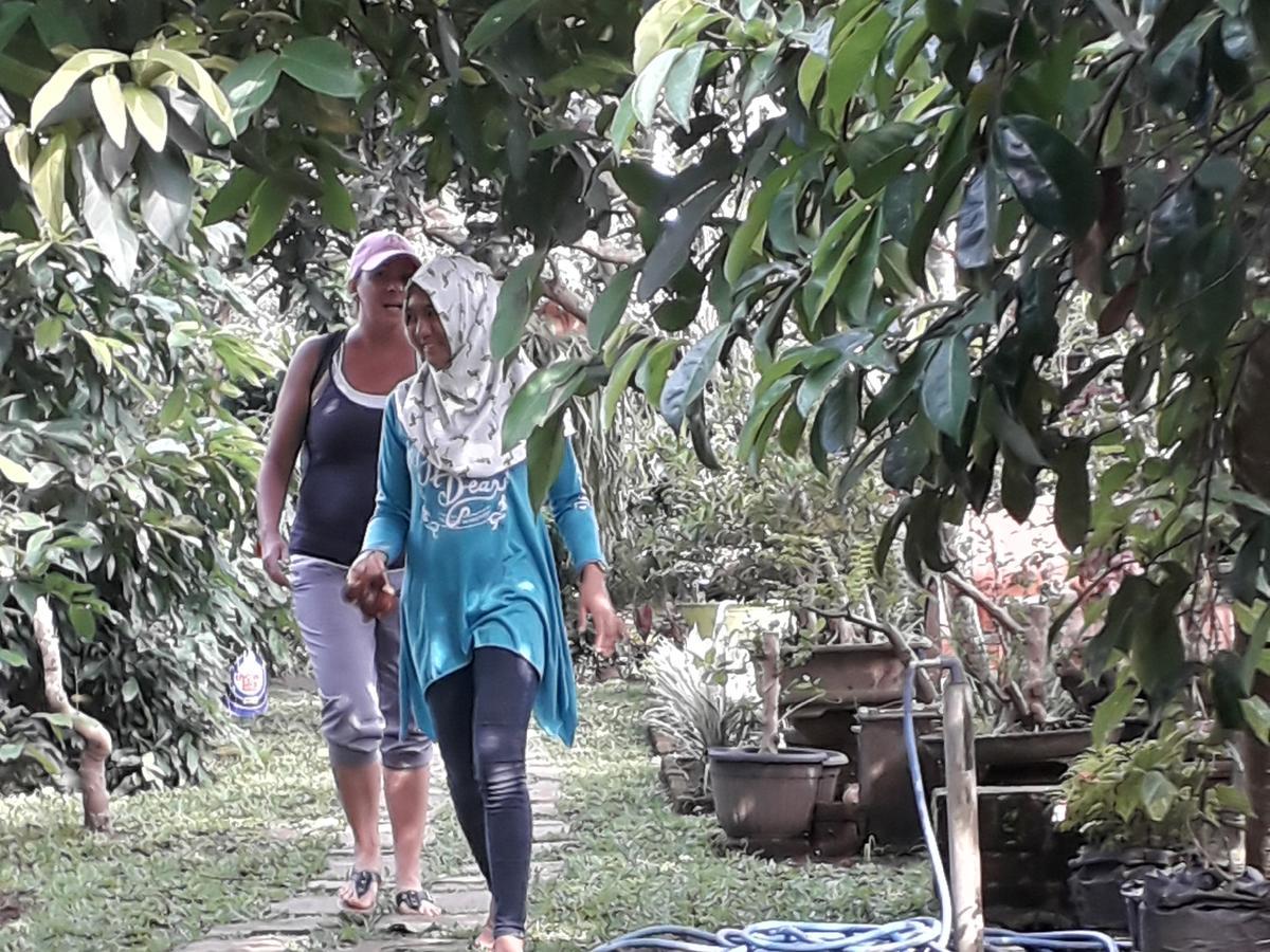 Banyu Homestay Banyuwangi  Luaran gambar