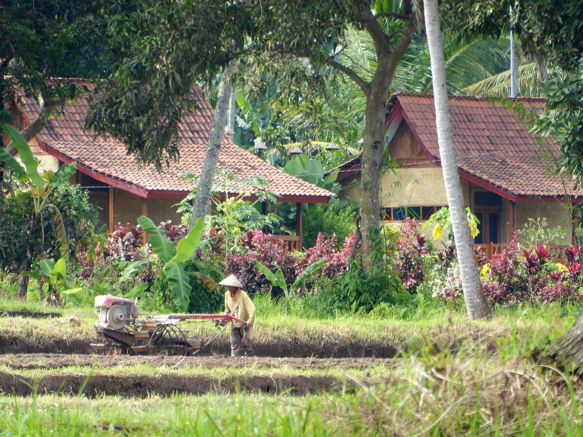 Banyu Homestay Banyuwangi  Luaran gambar