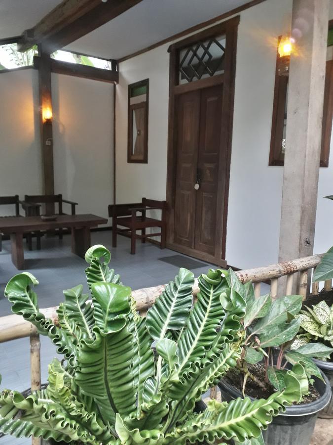 Banyu Homestay Banyuwangi  Luaran gambar