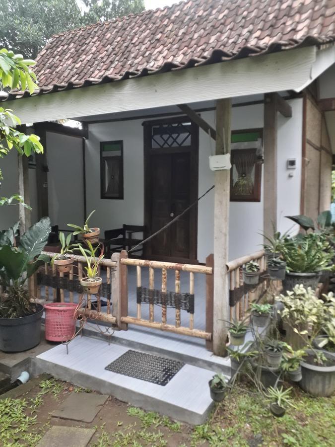 Banyu Homestay Banyuwangi  Luaran gambar